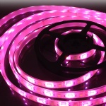 RGBW Waterproof LED Strip Light